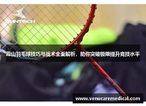 霞山羽毛球技巧与战术全面解析，助你突破极限提升竞技水平