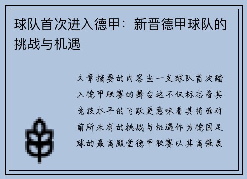球队首次进入德甲：新晋德甲球队的挑战与机遇