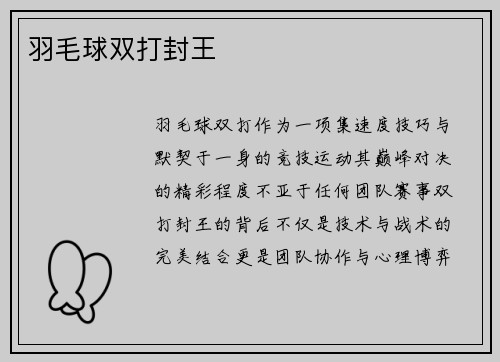 羽毛球双打封王