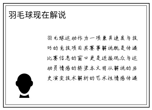 羽毛球现在解说